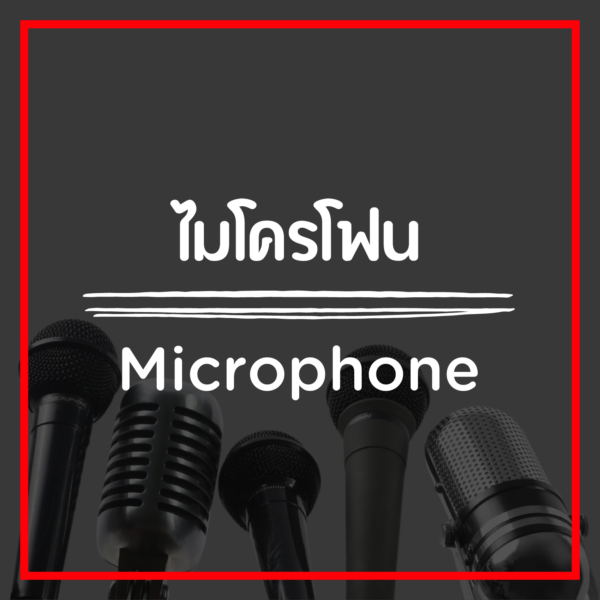 ไมโครโฟน/Microphone