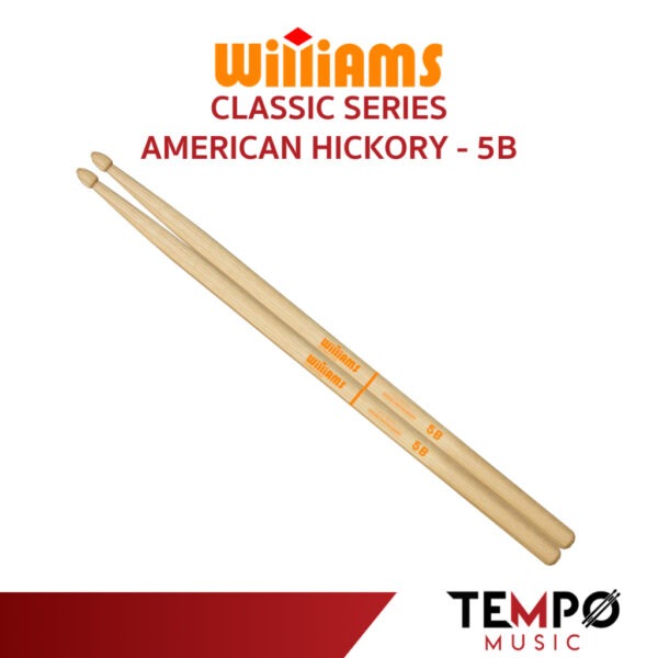 ไม้กลอง Williams 5B Classic American Hickory หัว Acorn
