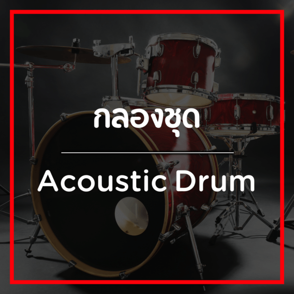 กลองชุด/Drum