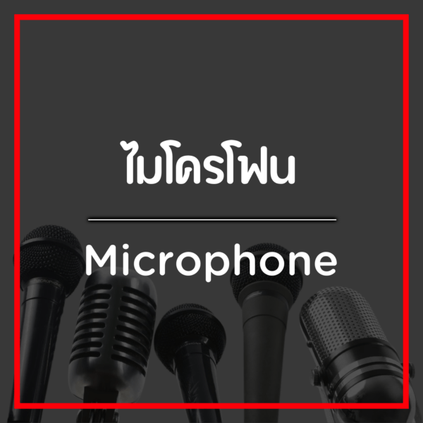 ไมโครโฟน/Microphone