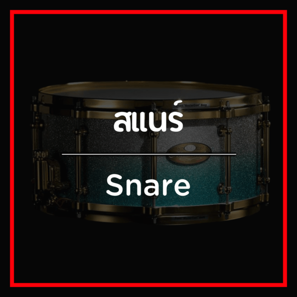 สแนร์/Snare