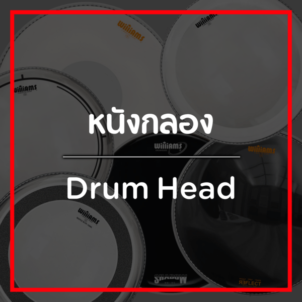 หนังกลอง/Drum Head